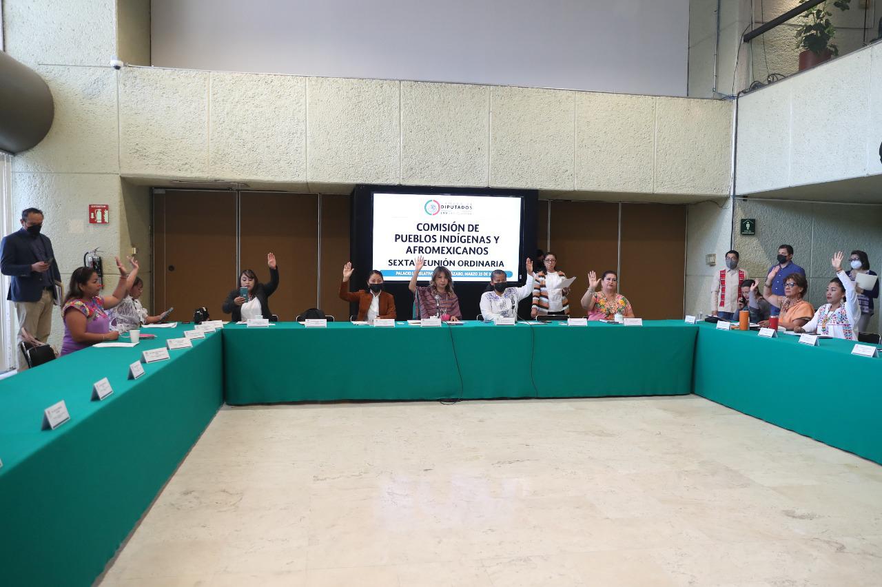 𝐋a comisión de Pueblos Indigenas y Afromexicanos se reunieron con titular del INPI.