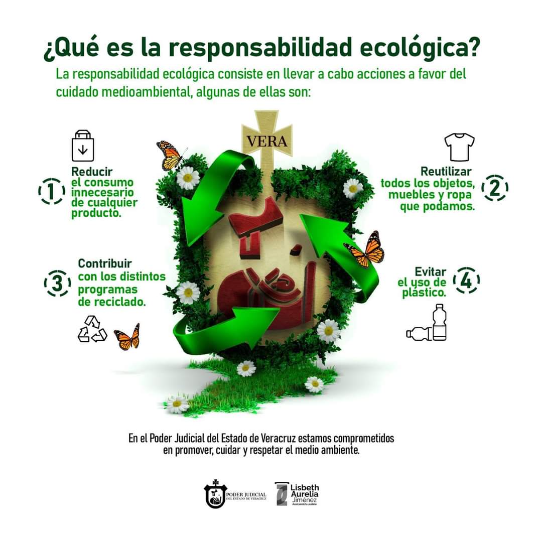 Responsabilidad ecológica